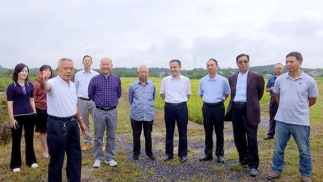 湖南省重点研发计划项目富硒稻油组装配套高效栽培技术攻关观摩会在我县召开