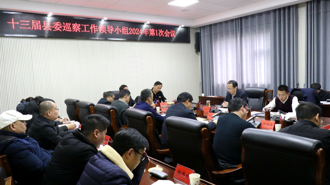 桃源县委巡察工作领导小组召开2024年第1次会议