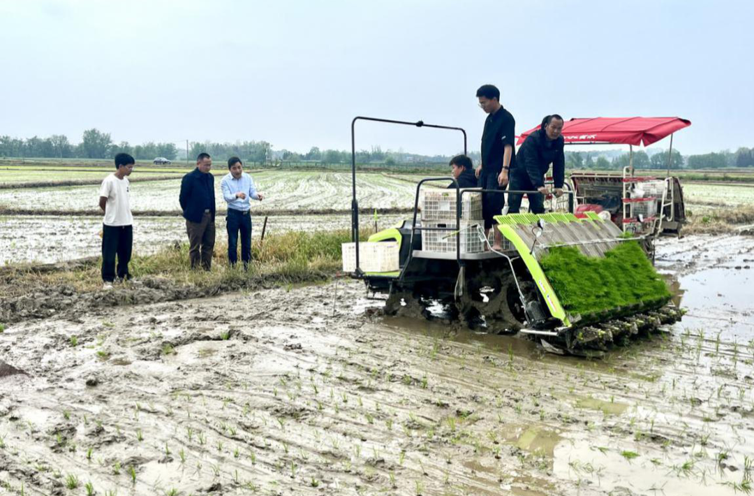 县农机事务中心：农机服务送到田间地头 科学指导推进春耕生产