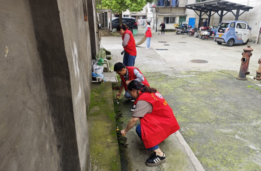 漳江街道：品質(zhì)桃源共繪新篇，文明實踐美化家園