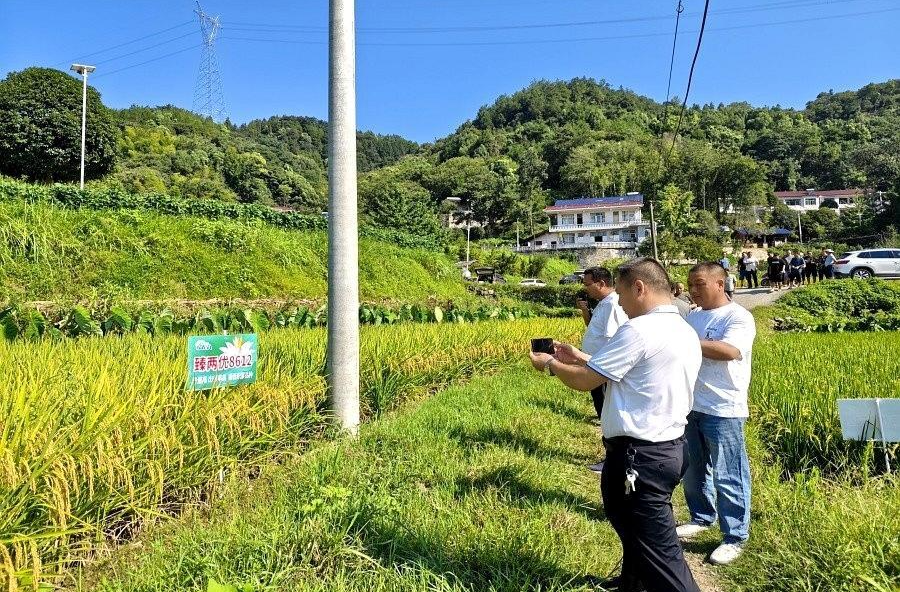 理公港鎮(zhèn)：打好推廣“組合拳”，守護(hù)群眾“米袋子”