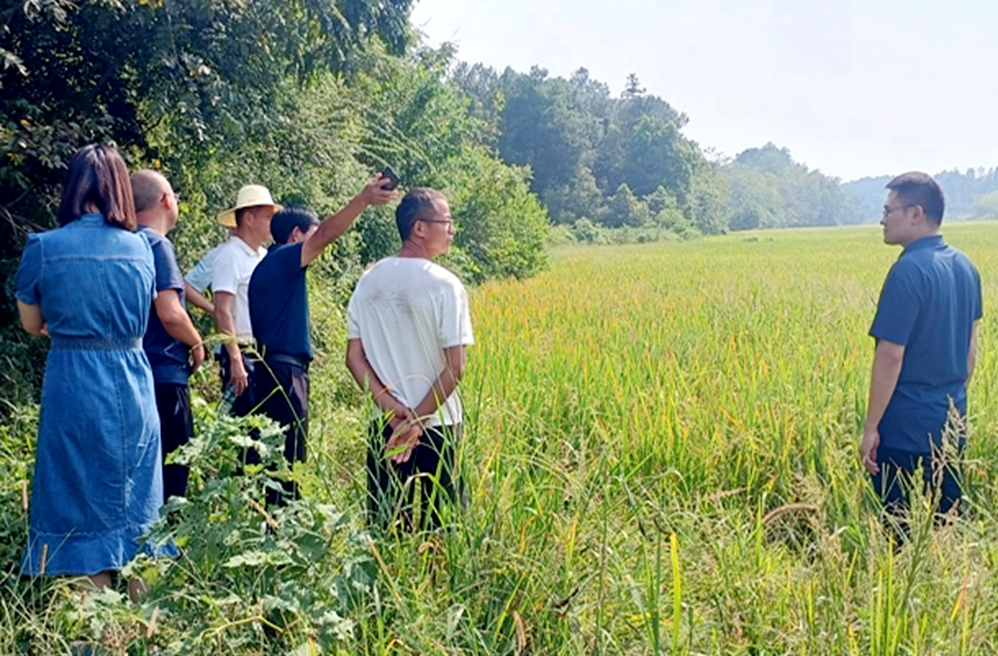 馬鬃嶺鎮(zhèn)：打好抗旱“保衛(wèi)戰(zhàn)”，全力抗旱保民生