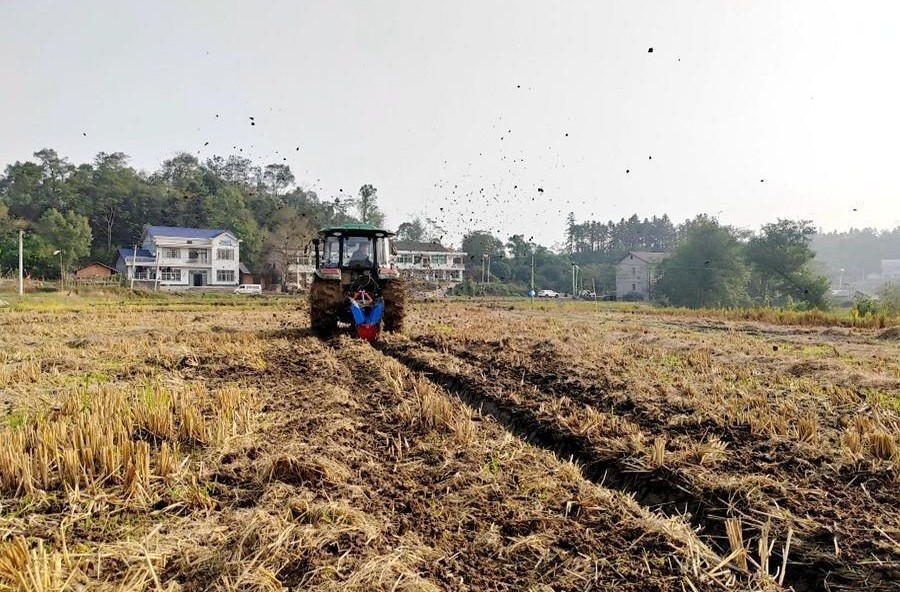 佘家坪镇：秋冬种植忙 冬日无闲田