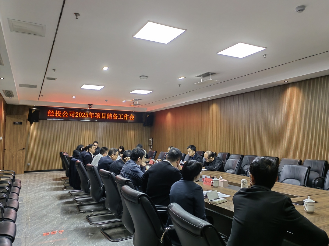 桃源经投公司召开2025年项目储备工作会