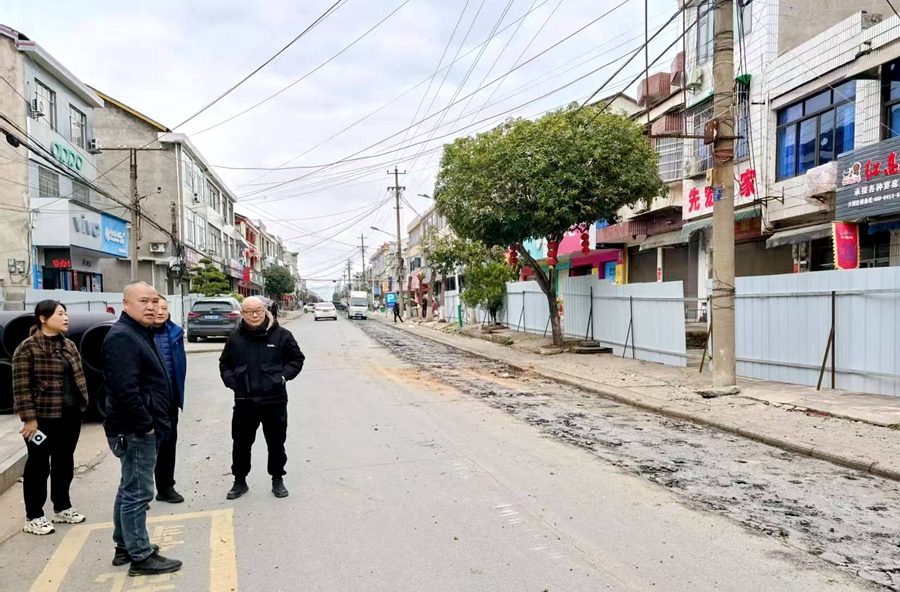 架桥镇：开展公路沿线道路绿化美化工作