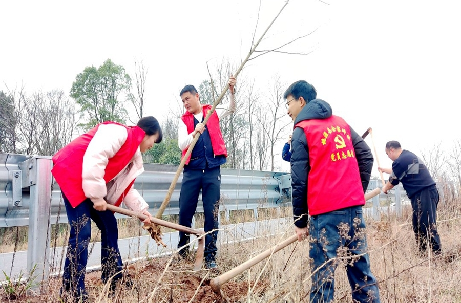 种下“杏”福树 秀美家园路——佘家坪镇开展义务植树活动