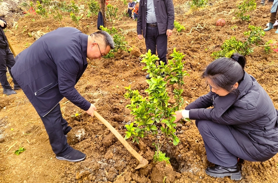 热市镇：开展春季义务植树活动 绘就生态新画卷