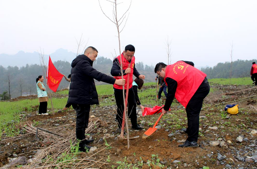 牛车河镇：义务植树活动  书写生态答卷