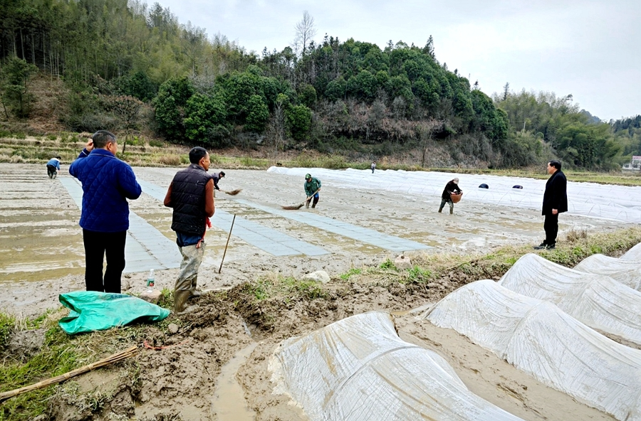 夷望溪镇：春光好农事忙 集中育秧保产量