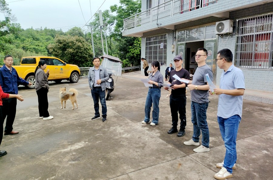 理公港镇：党群联动聚合力 环境整治展新颜