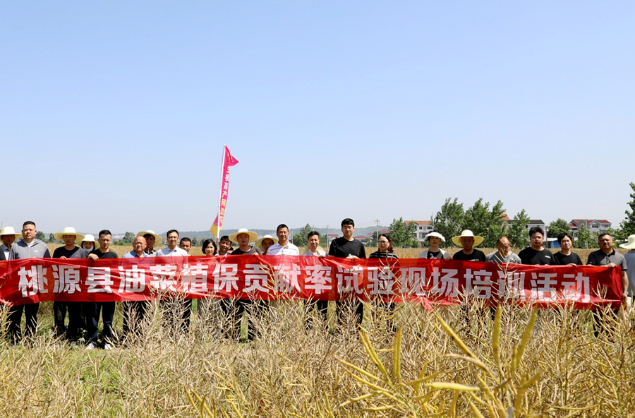 桃源县农业农村局开展油菜病虫防控现场培训，助力农业增产增收