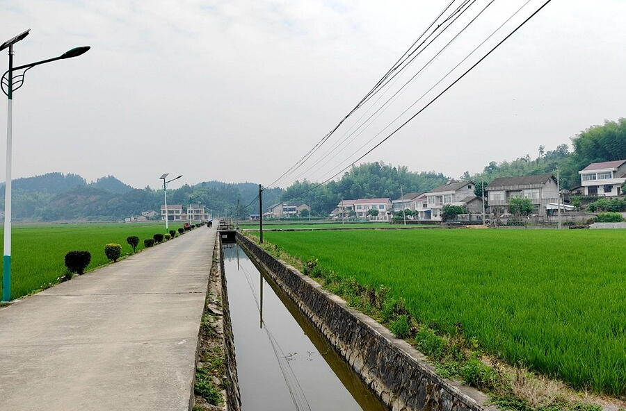 郑家驿镇：打造典型新样板  秀出村居新风采