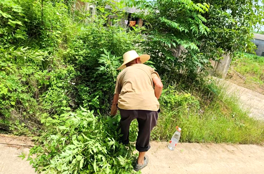 双溪口镇：环境整治再发力 清障护航新农村
