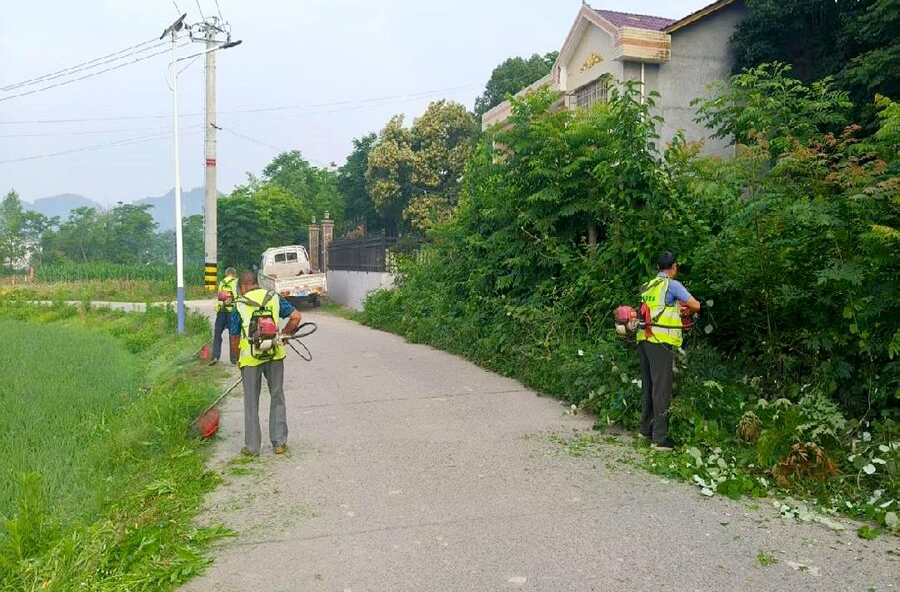 夷望溪镇：全面砍青除障，绘就