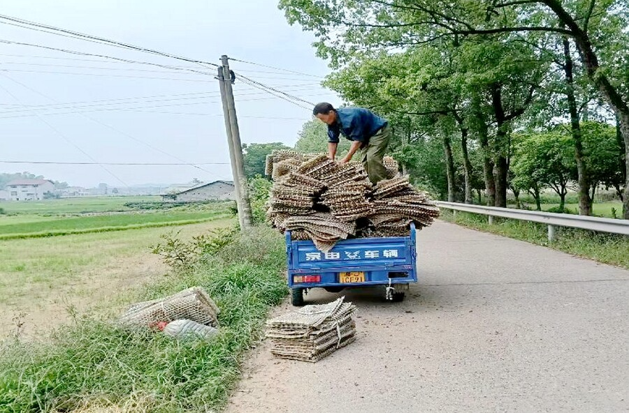 夷望溪镇：农用膜清理回收，助力农田“排毒养颜”