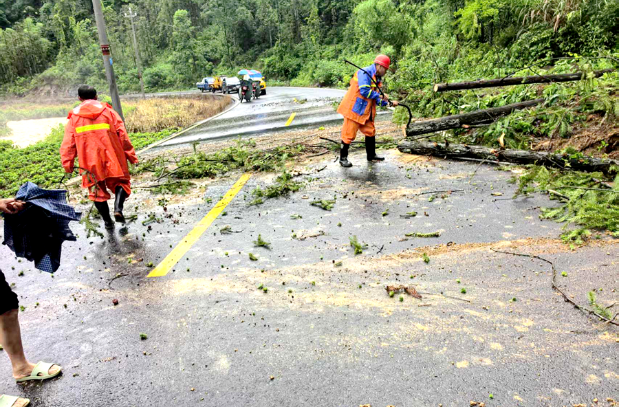 暴雨致公路受阻，桃源公路部门迅速组织抢险保畅通！