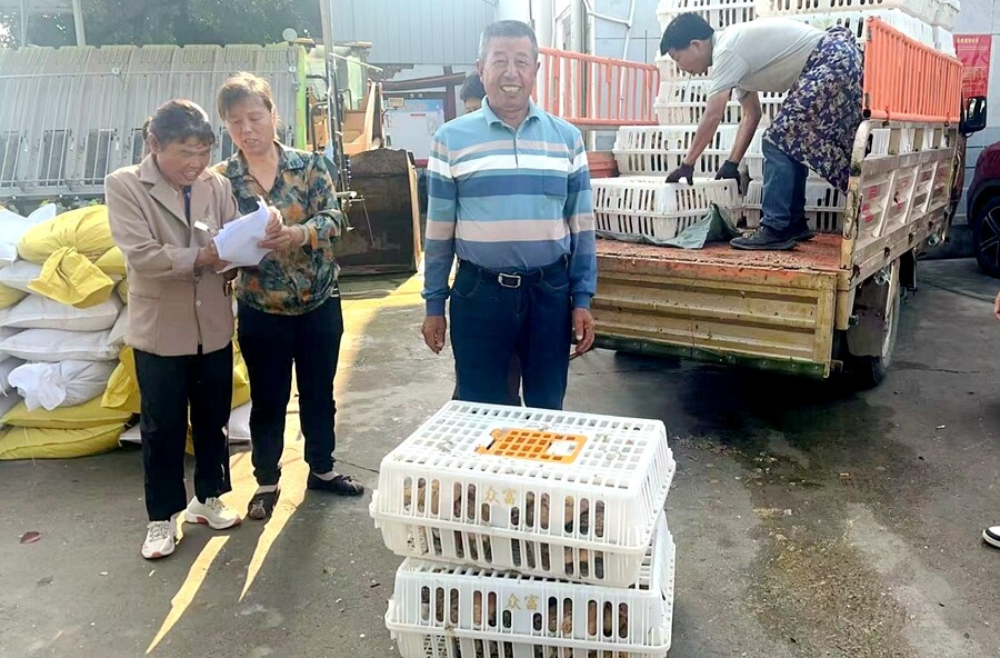 木塘垸镇：“阳光增收计划”照亮残疾人致富路