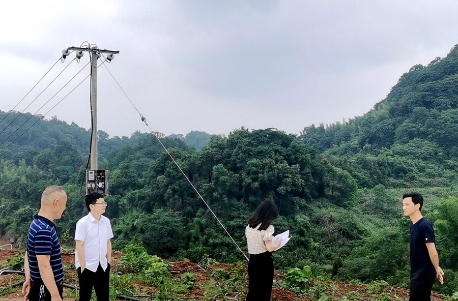 科技赋能 桃源水肥一体化技术助力油茶产业升级