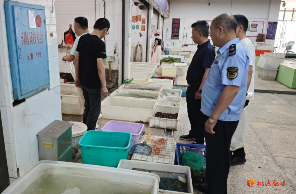 桃源县市场服务中心开展豇豆、水产品专项检测