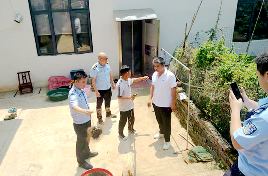 架桥镇：严厉打击张网捕鸟违法行为