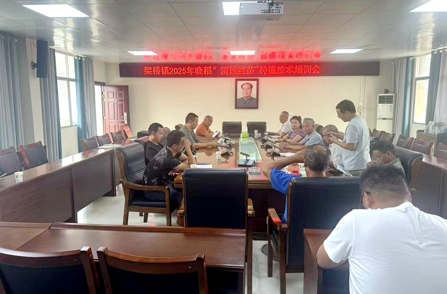 架桥镇开展晚稻“清莲丝苗”种植技术培训会