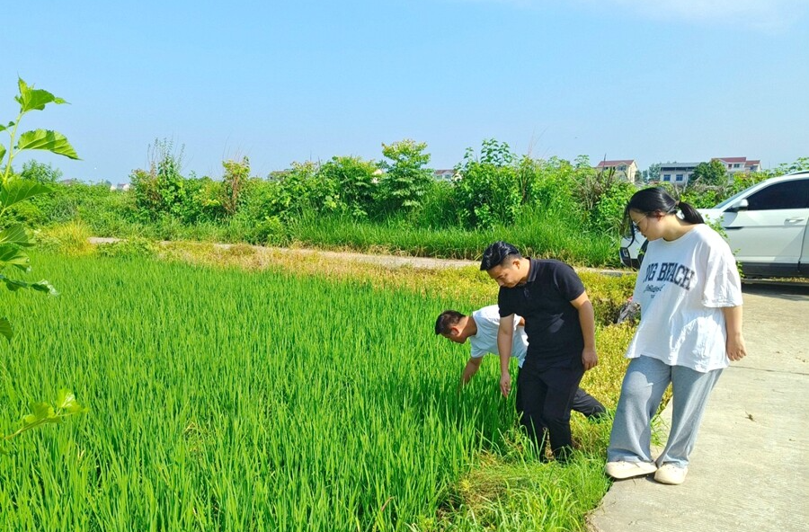 木塘垸鎮(zhèn)委員工作室：實地調(diào)研訪民情 民主監(jiān)督促發(fā)展