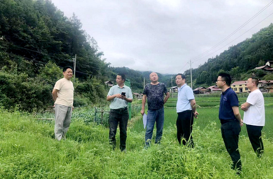 湖南省氣科所來桃開展雨后農(nóng)田漬澇災(zāi)害調(diào)查