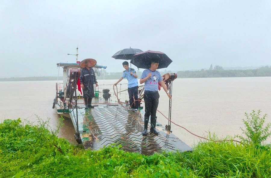 漳江街道：一場同暴雨和時(shí)間賽跑的搶收戰(zhàn)