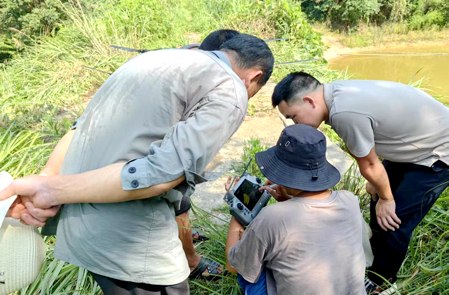 楊溪橋鎮(zhèn)：人防技防齊出擊  凝心聚力護(hù)竹林