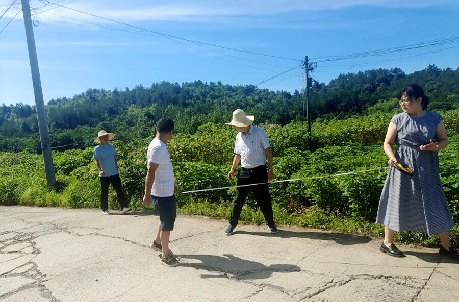 理公港鎮(zhèn)：組織開展民生實事票決項目建設(shè)情況調(diào)研
