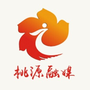 浅谈新兴领域党建工作存在的问题及对策