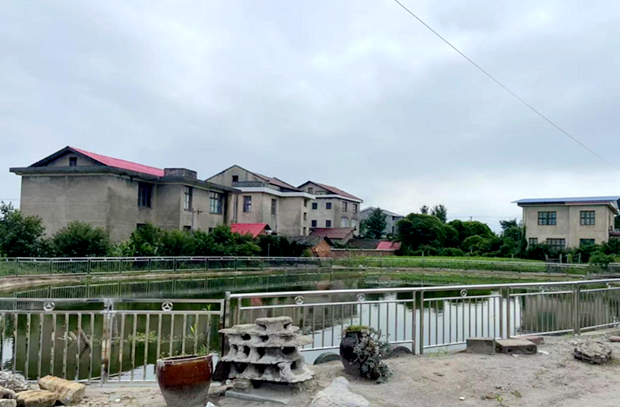 木塘垸镇：巡察督办有力度 实事惠民有温度
