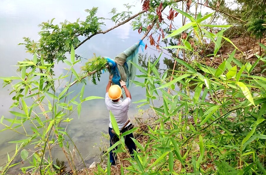 观音寺镇：清理河道垃圾，共护河畅水清