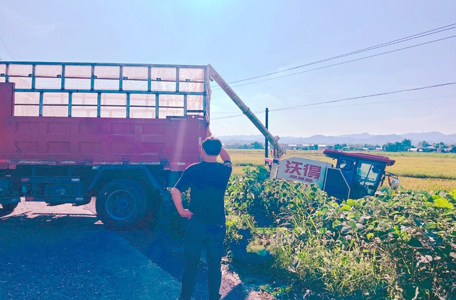 茶庵铺镇：早稻收割正当时，农机安全巡查护航丰收