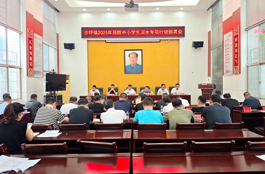 沙坪镇：立体防控守护一方碧水安澜