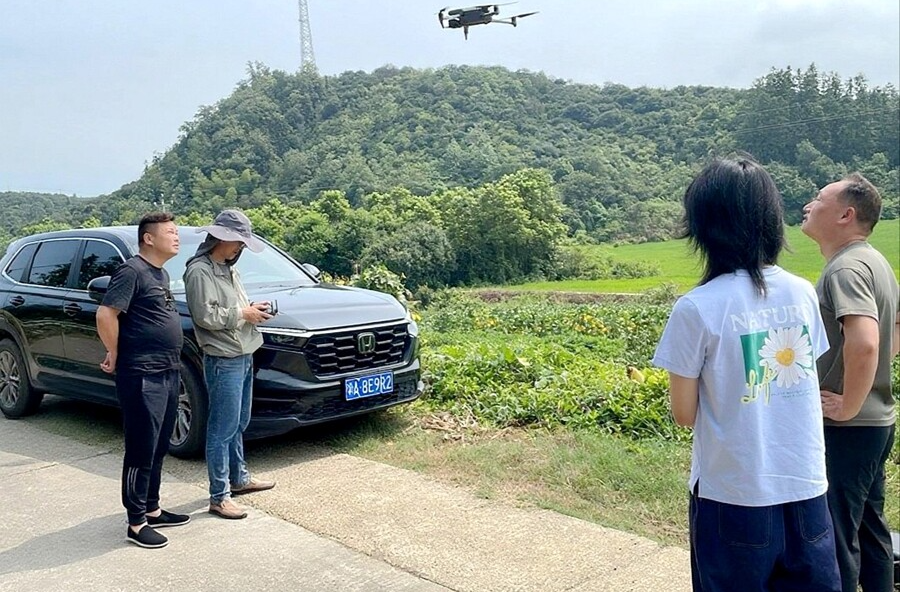 桃源县启动松树钻蛀类害虫系统调查 构建健康数据库