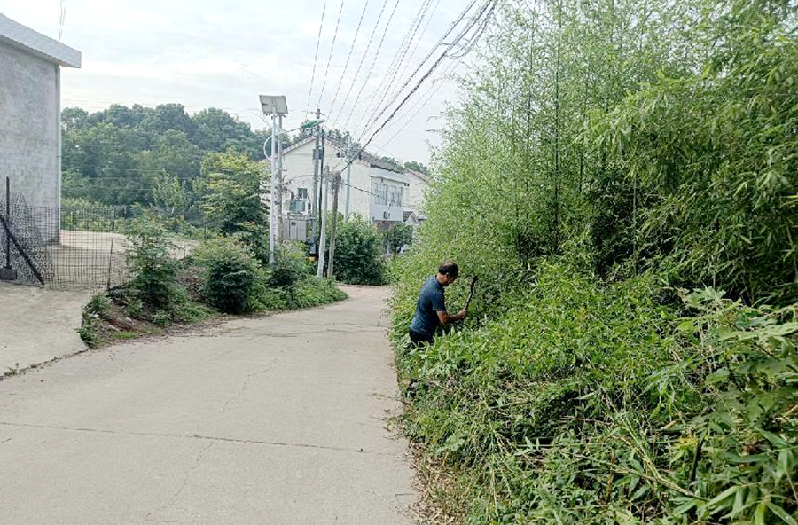双溪口镇先锋村：公岗人员忙除杂 村道焕新迎夏来