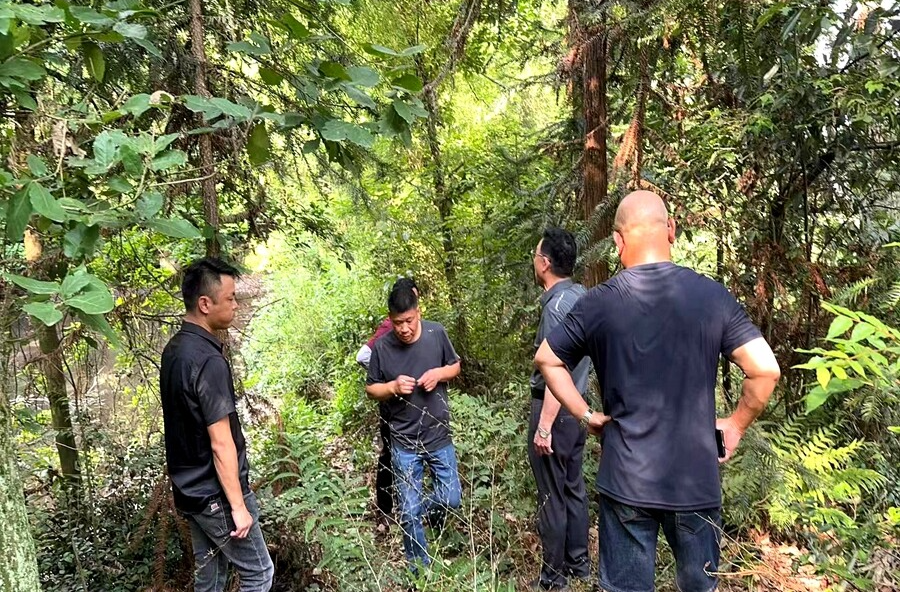 郑家驿镇游鹿溪村：全面防治竹蝗，保障竹产业生态安全