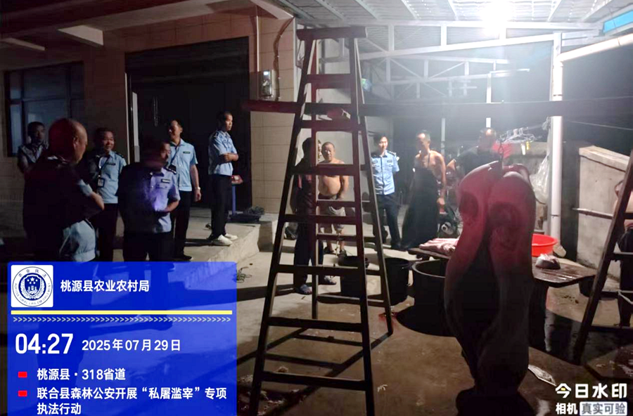 桃源：凌晨突击执法 严打私屠滥宰护民生