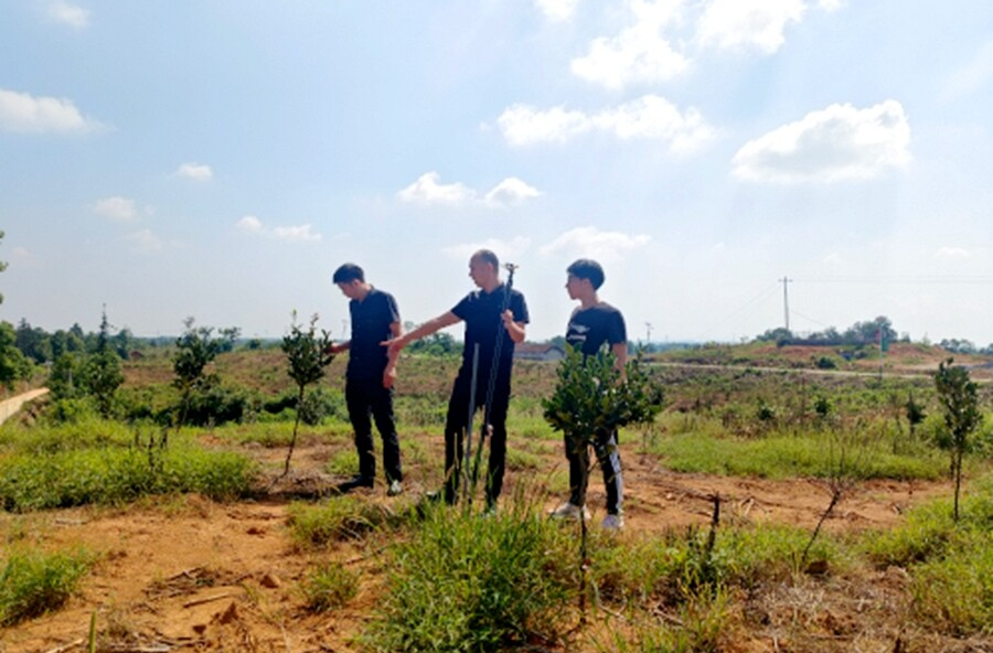 桃源縣林業(yè)局開展油茶基地建設(shè)驗(yàn)收工作 科技賦能油茶產(chǎn)業(yè)