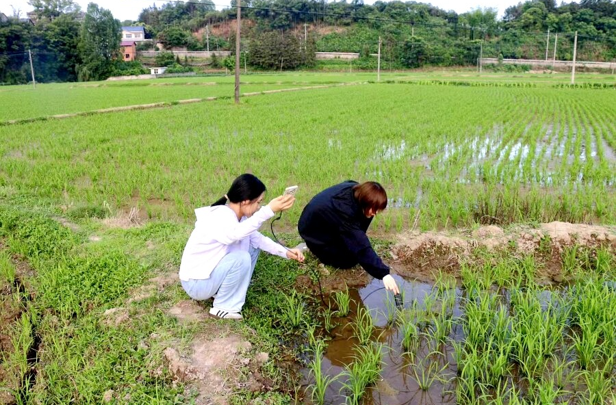 理公港镇：奔赴乡间田野，寻觅改革良方