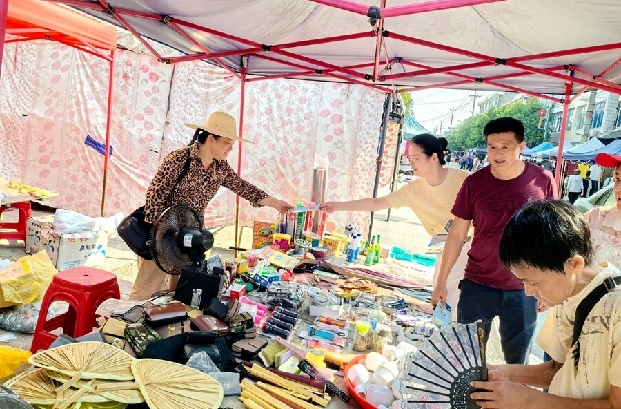 龙潭镇：纵深推进“扫黄打非”专项行动 筑牢乡村文化安全防线