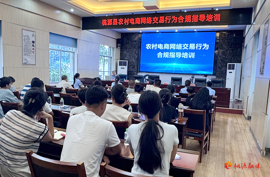 桃源：多部门合力维护农村电商权益