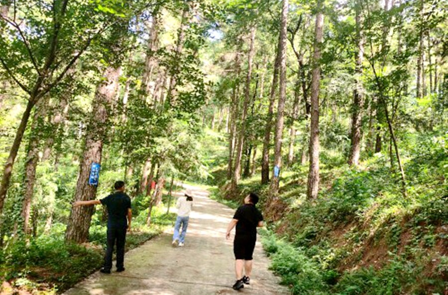 桃源县洞庭湖山水工程退化林修复项目接受市级验收