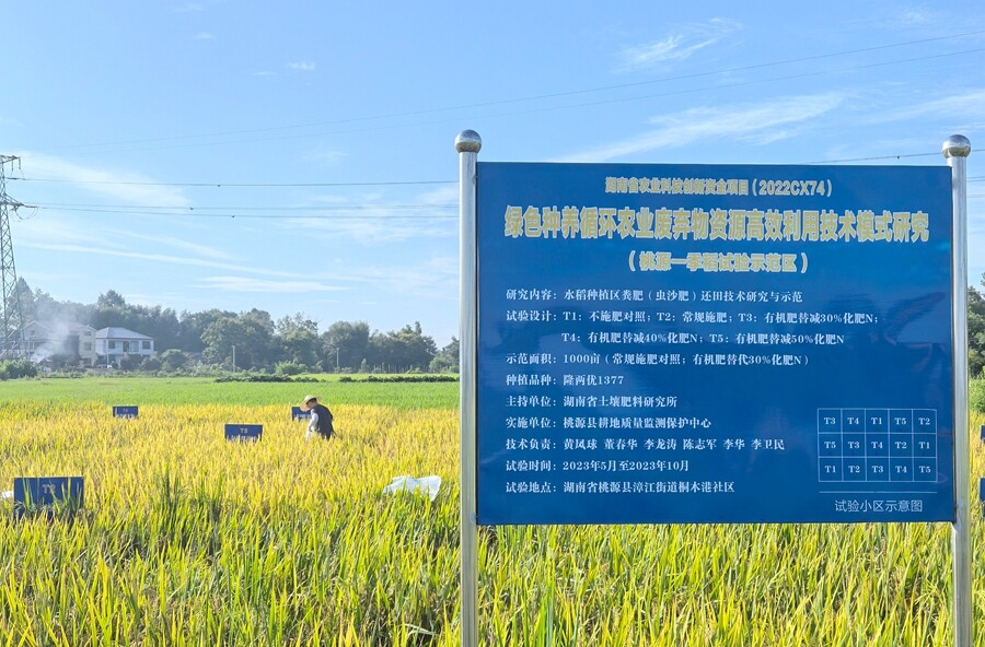 湖南省农业科学院专家组来桃调研指导绿色种养循环农业项目