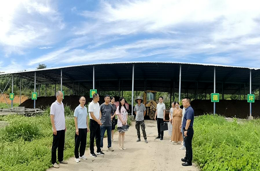 桃源县政协开展秸秆综合利用调研  推进大气污染防治专项民主监督