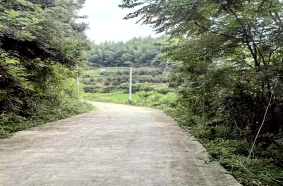 漆河鎮(zhèn)：道路砍青“煥新顏”，護(hù)航群眾出行路