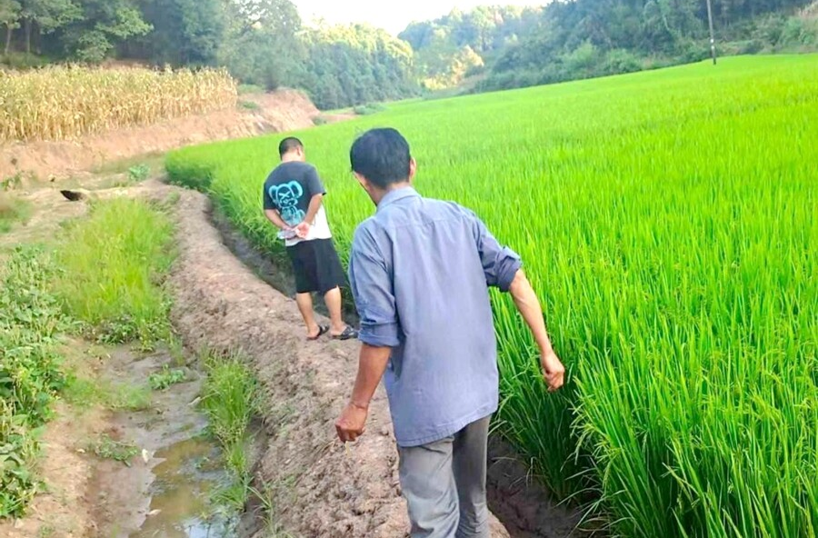 漆河鎮(zhèn)：多方聯(lián)動解耕道難題 助力農(nóng)戶 生產(chǎn)增收
