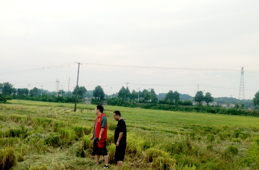 架橋鎮(zhèn)開展“助力秸稈禁燒，共建美麗家園”志愿服務(wù)活動(dòng)
