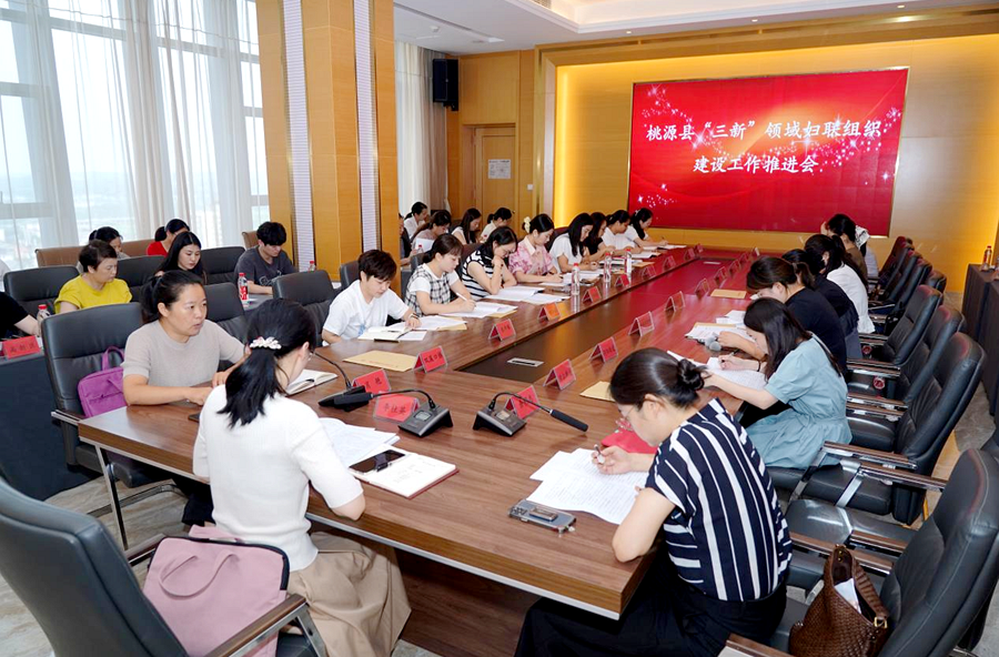 桃源縣婦聯(lián)召開“三新”領(lǐng)域婦聯(lián)組織建設(shè)工作推進(jìn)會(huì)